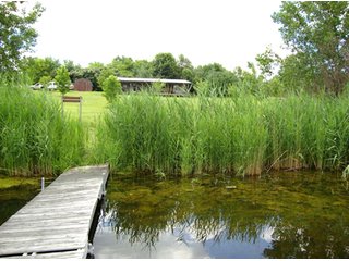 Private, 52.8 Acre Retreat with "the best fishin' in Fulton County."  This land provides seclusion and is cloaked in multiple species of mature and planted pine trees and hardwoods.

The property features a cabin, 3 ponds, 4 wheeler trails, a practice range for shooting and an abundance of wildlife including deer and turkey.  The ponds provide an abundance of large mouth bass and have been stocked many times.  There is no electric on the property.  - Wildlife and Recreation